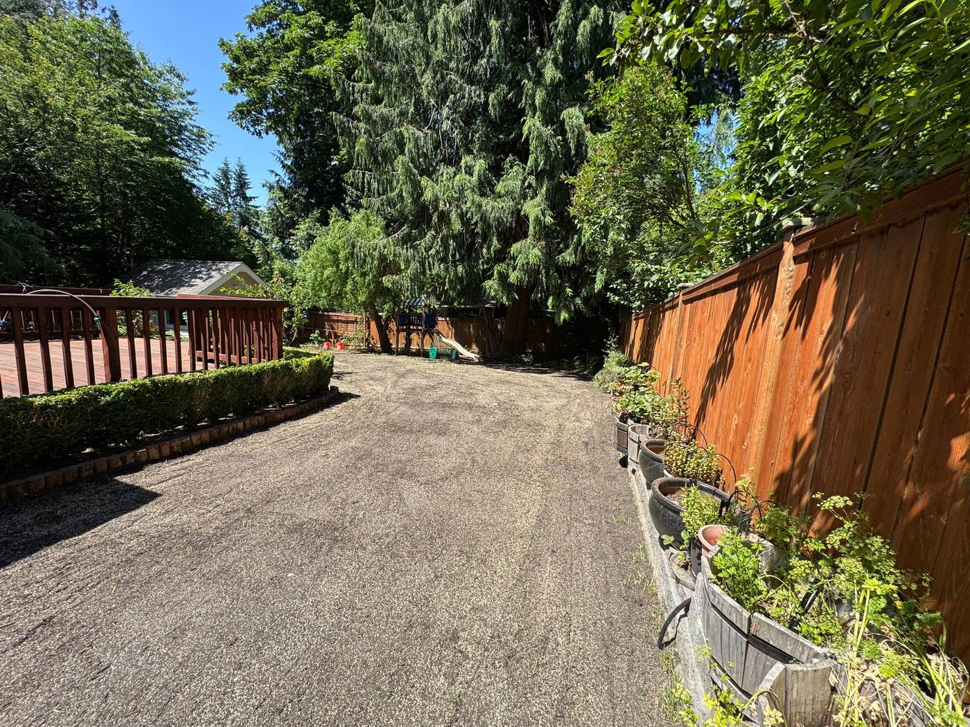 Side yard lawn seeding and restoration, before