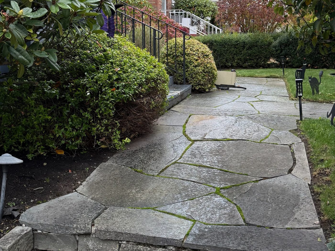 Flagstone walkway and front lawn fall leaf cleanup, after