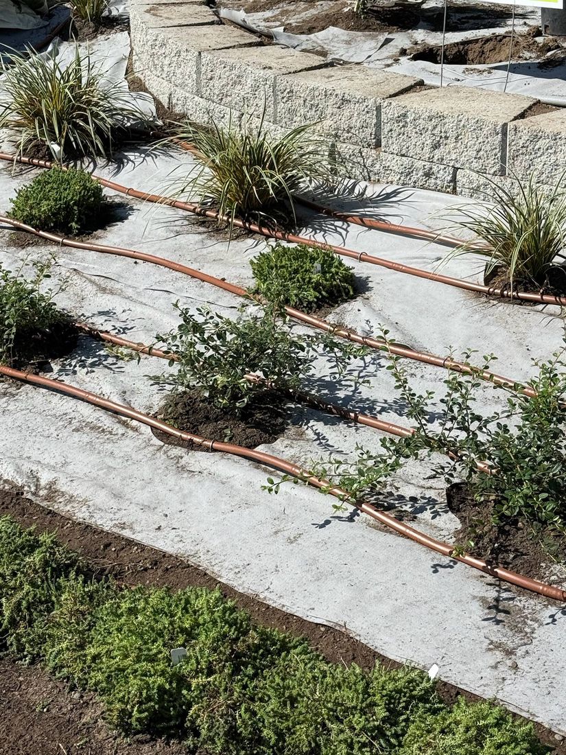 Rhino Landscaping project 10