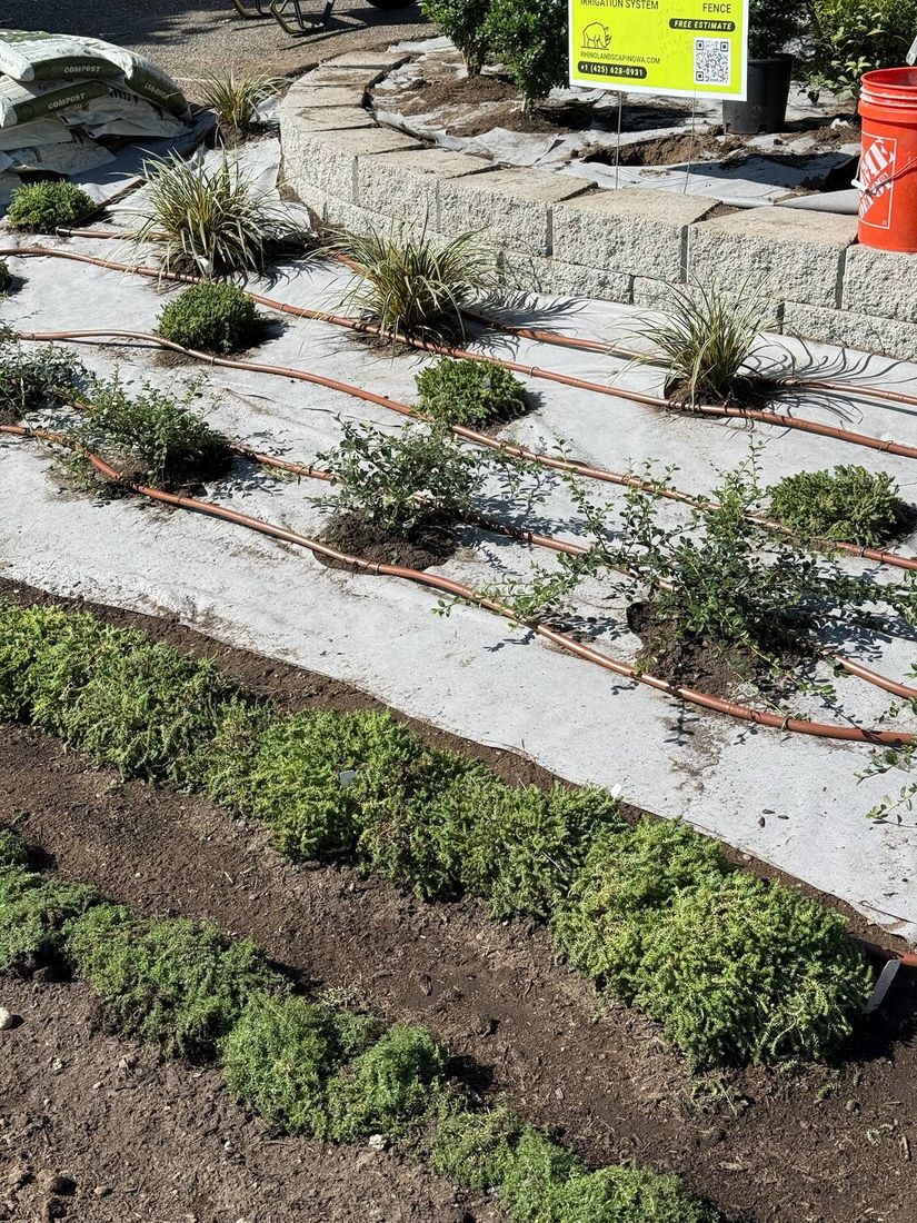 Rhino Landscaping project 11