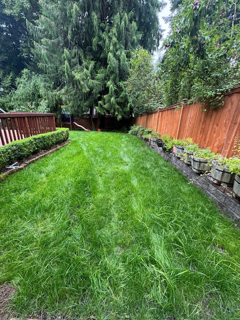 Rhino Landscaping project 1