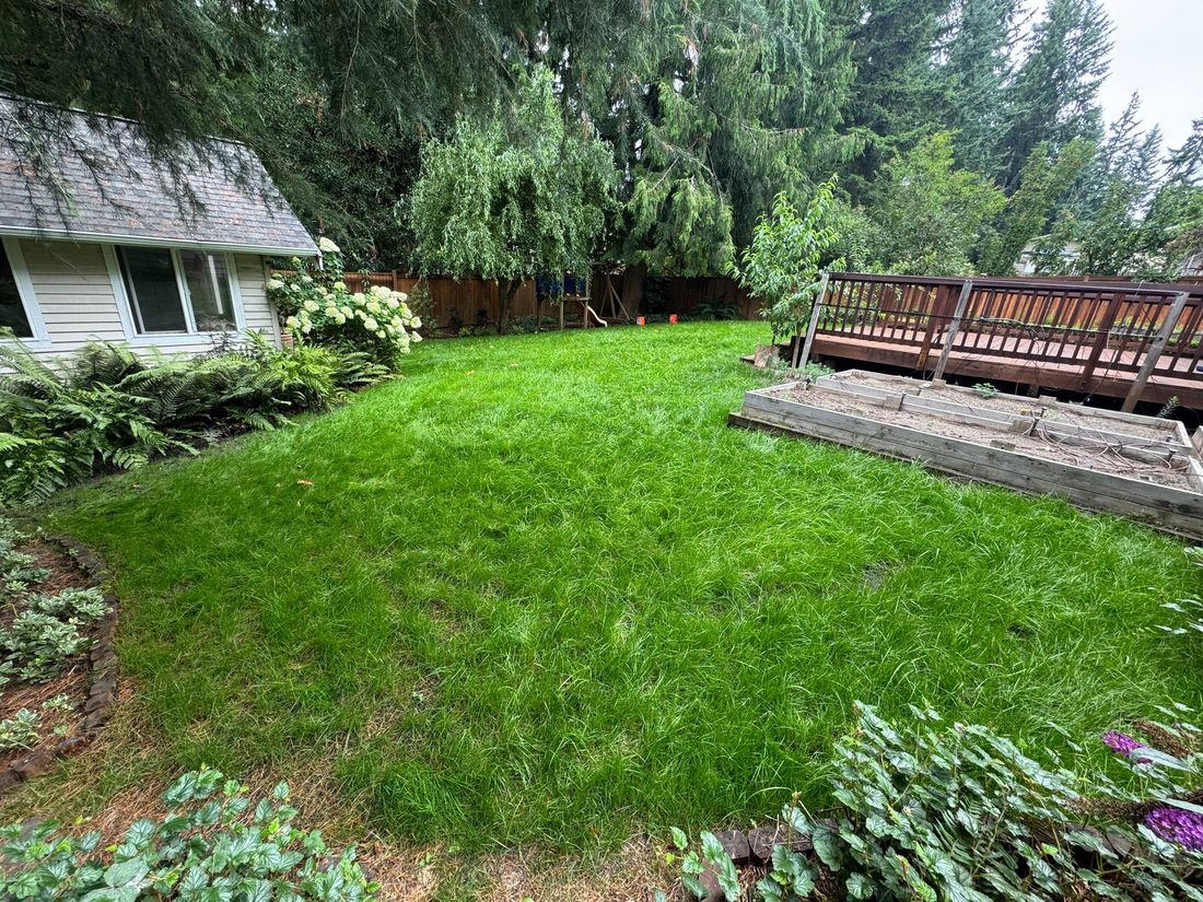 Rhino Landscaping project 3