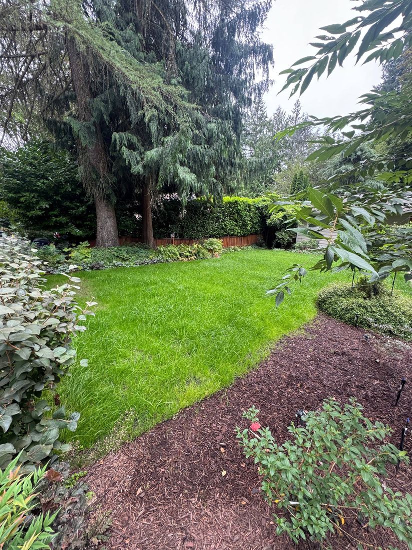 Rhino Landscaping project 4