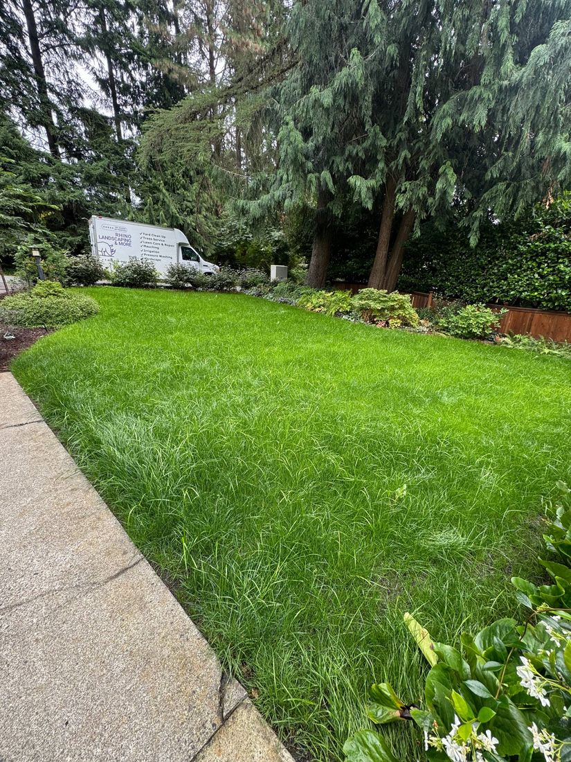 Rhino Landscaping project 6