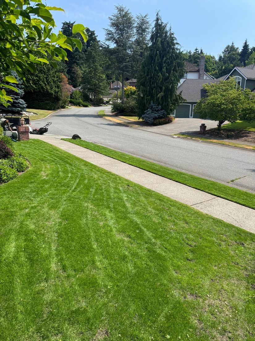 Rhino Landscaping project 7