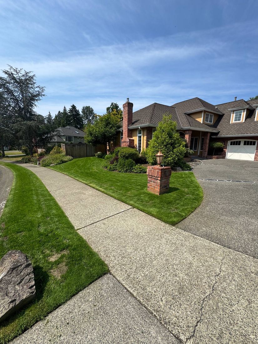 Rhino Landscaping project 8
